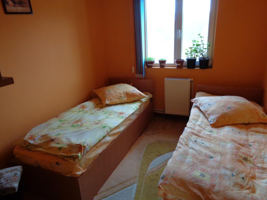 Gasthaus Enduro Bica Caransebeş Oda fotoğraf