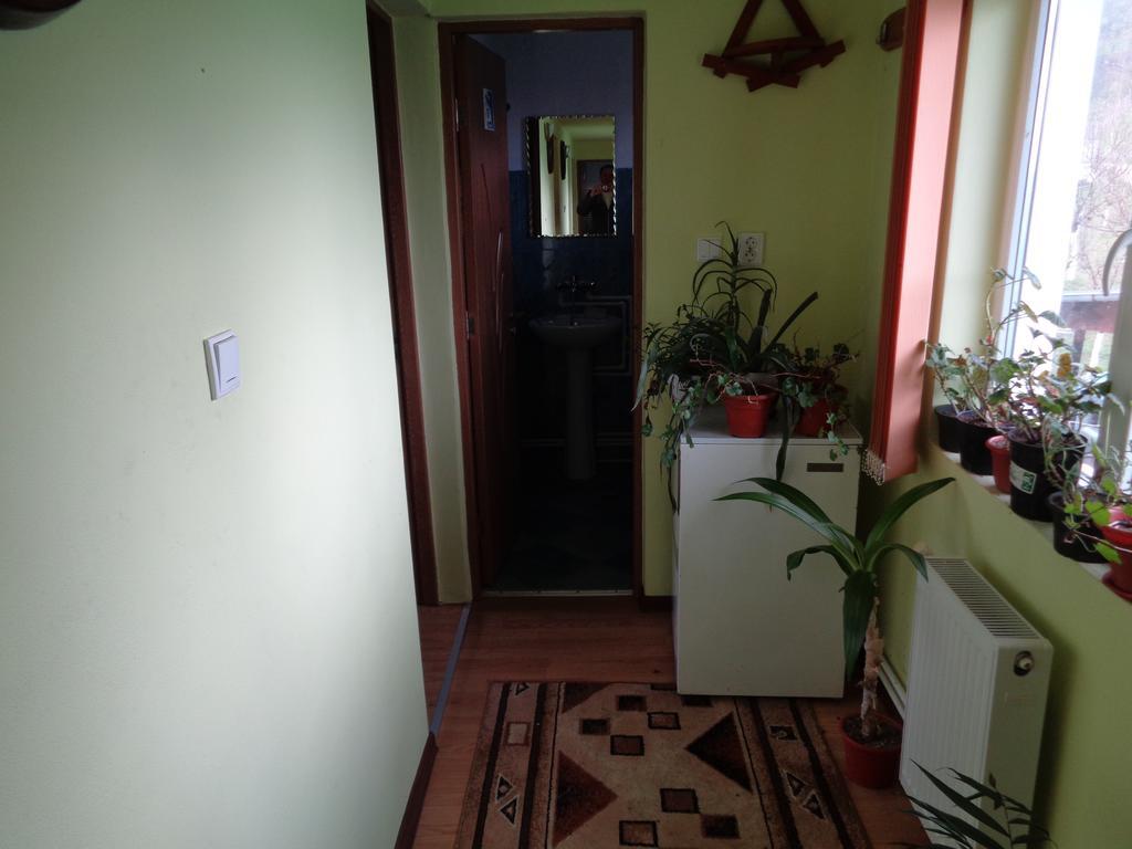 Gasthaus Enduro Bica Caransebeş Dış mekan fotoğraf